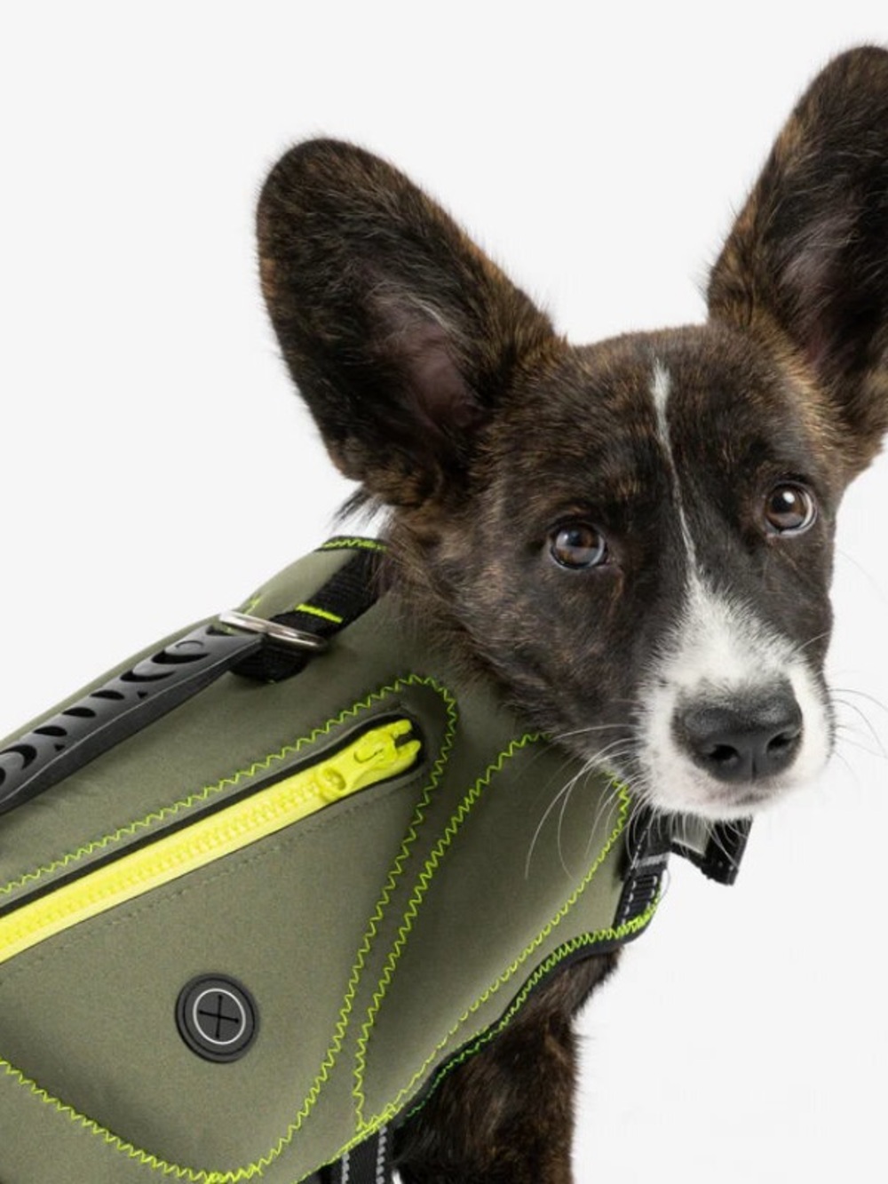 💫4/$25 • Silver Paw Dog Life Jacket